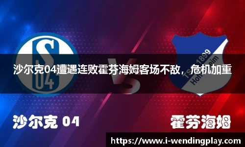 沙尔克04遭遇连败霍芬海姆客场不敌,危机加重