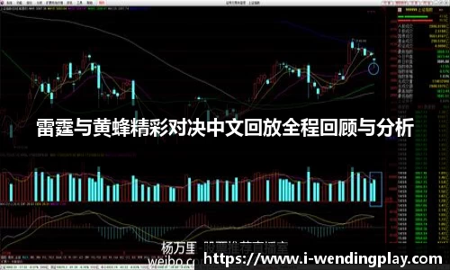 雷霆与黄蜂精彩对决中文回放全程回顾与分析