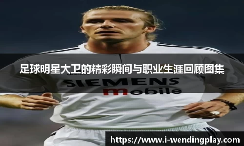 足球明星大卫的精彩瞬间与职业生涯回顾图集